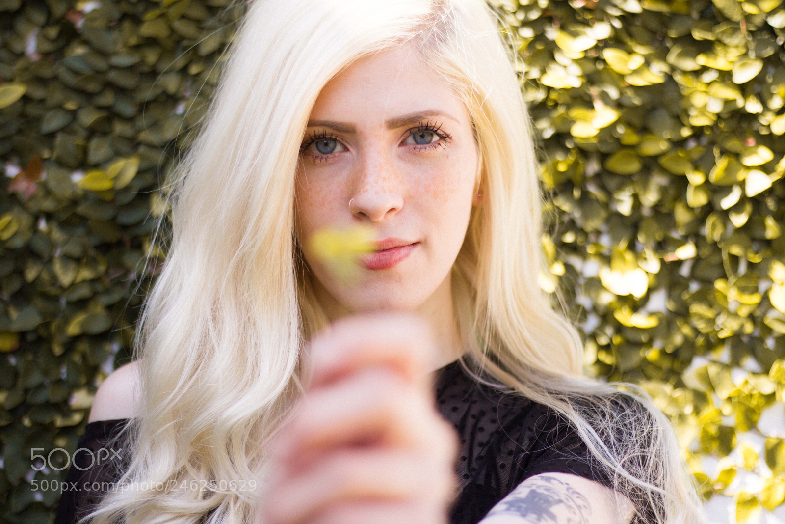 Canon EOS 600D (Rebel EOS T3i / EOS Kiss X5) sample photo. @ohserenna photography