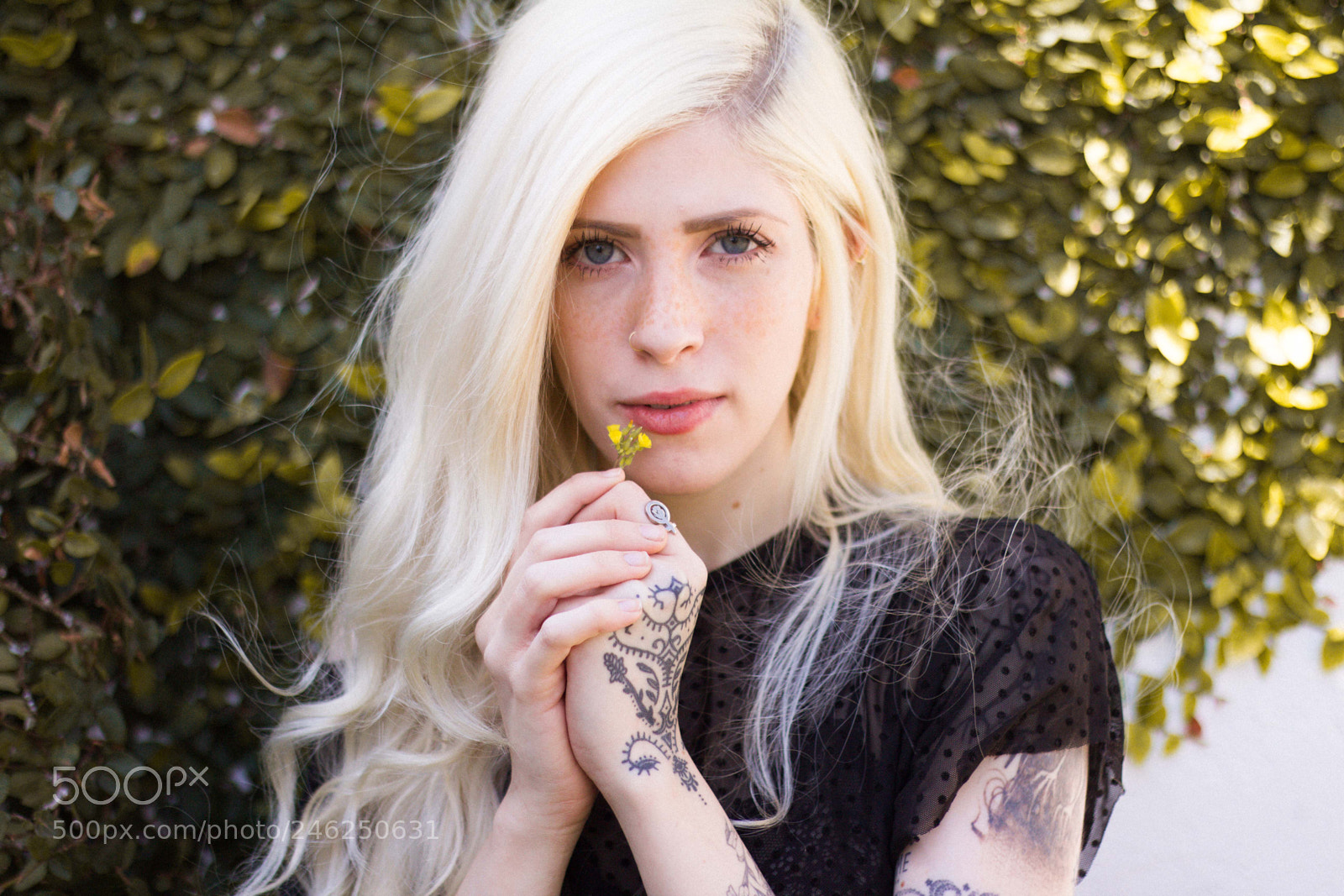 Canon EOS 600D (Rebel EOS T3i / EOS Kiss X5) sample photo. @ohserenna photography