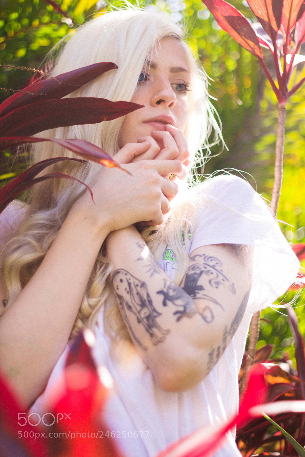 Canon EOS 600D (Rebel EOS T3i / EOS Kiss X5) sample photo. @ohserenna photography