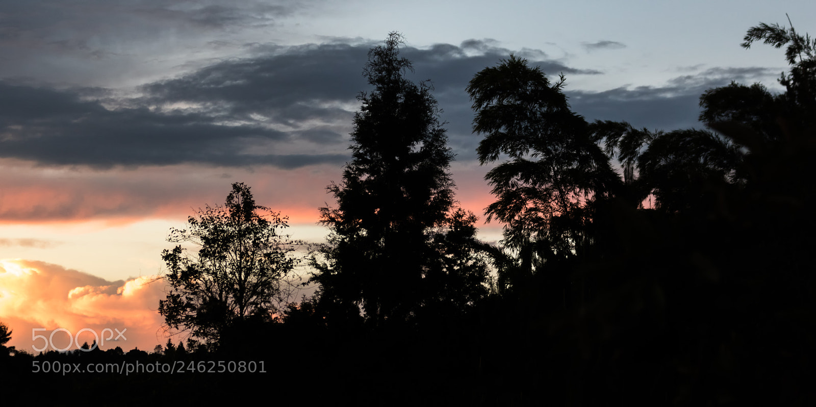 Canon EOS 750D (EOS Rebel T6i / EOS Kiss X8i) sample photo. The night falls photography
