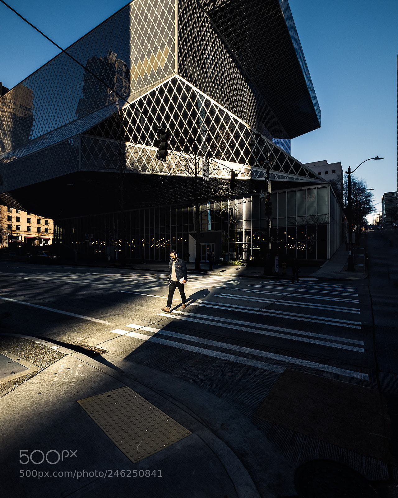 Fujifilm X-T20 sample photo. Parting the shadow photography