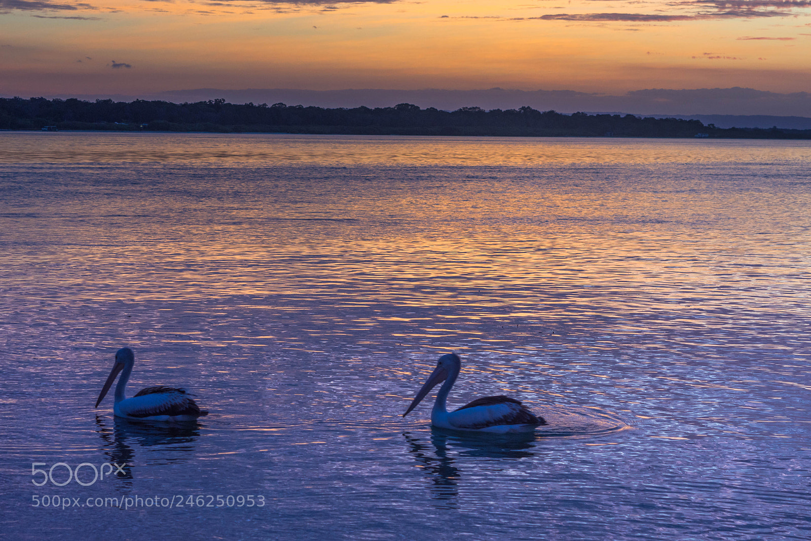 Nikon D7200 sample photo. Sunsets at bribie photography