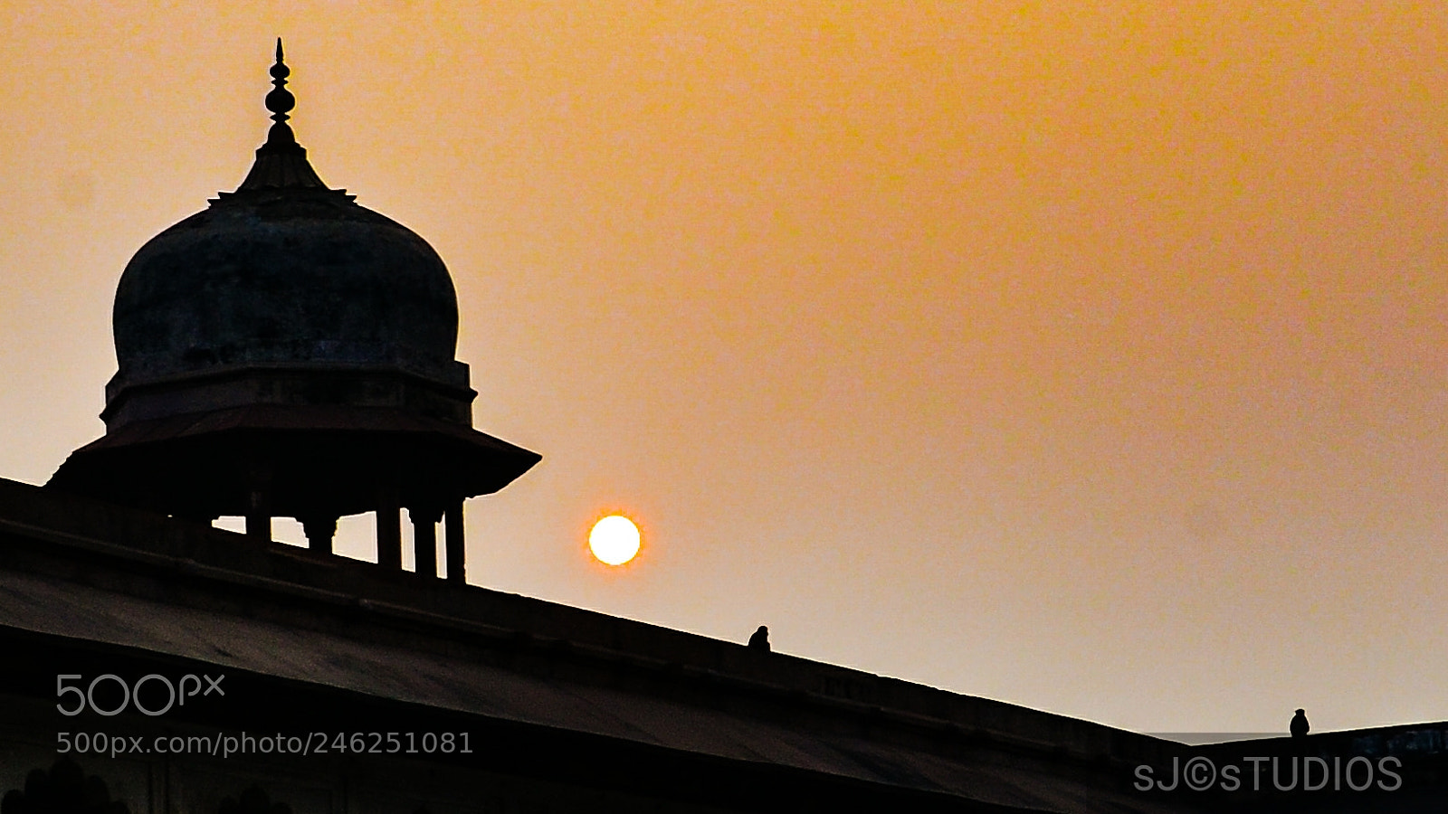 Nikon D5100 sample photo. Untitled photography