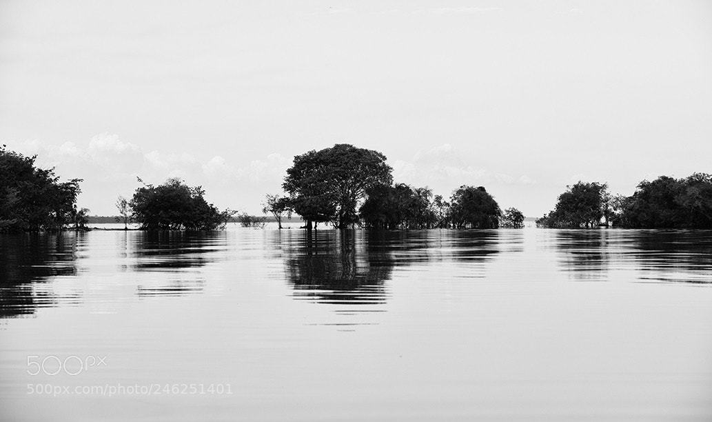 Canon EOS 5DS R sample photo. R o negro, manaus photography