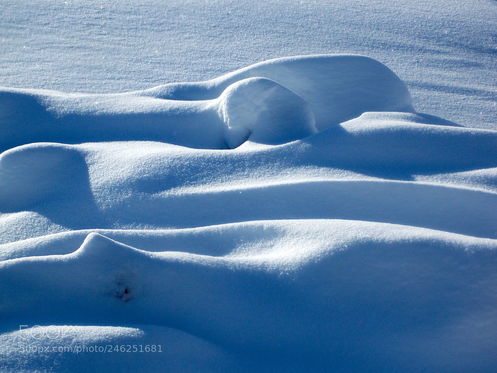 Nikon Coolpix L810 sample photo. Snow photography
