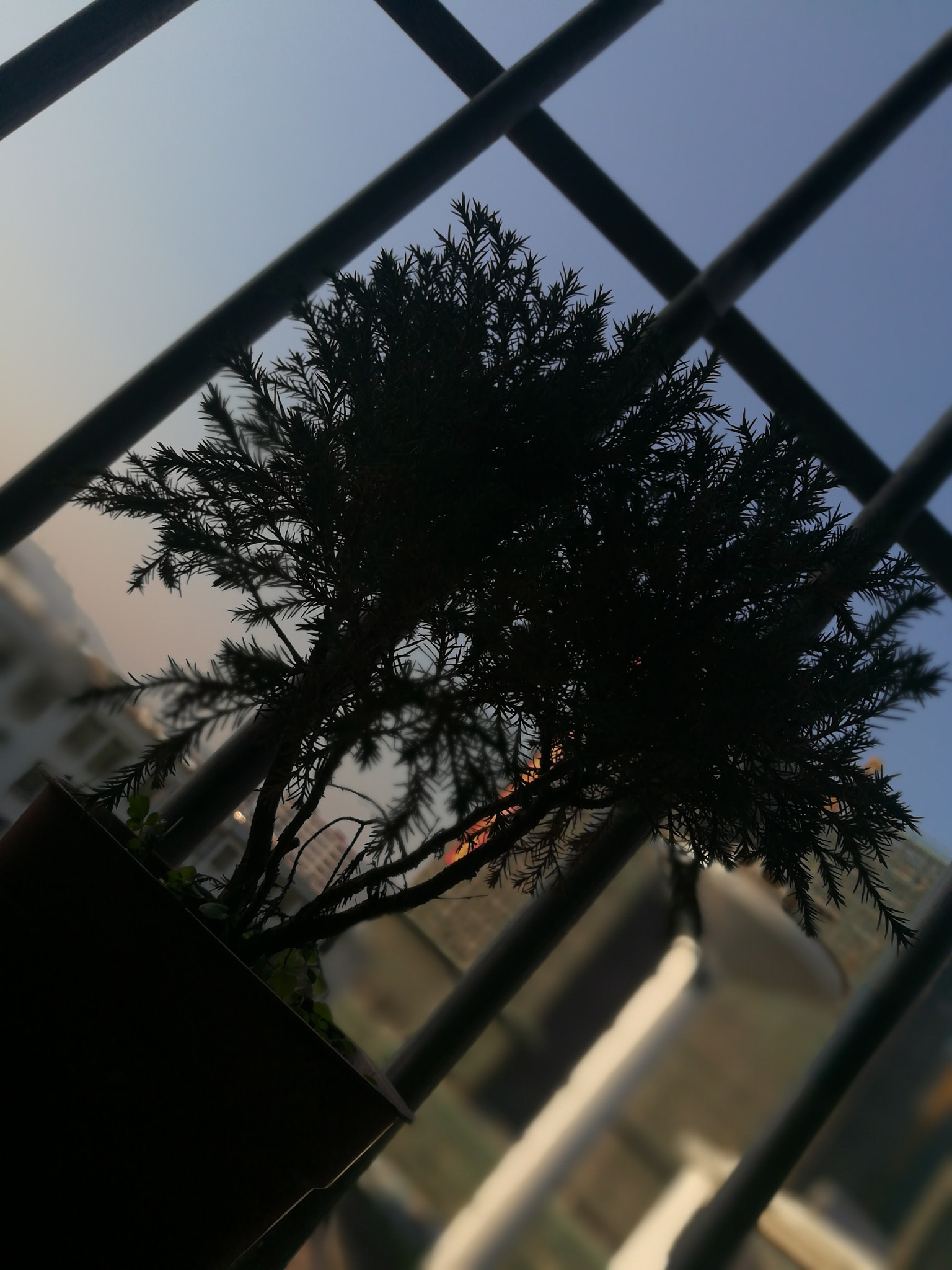 HUAWEI c??Eu?s 6X sample photo