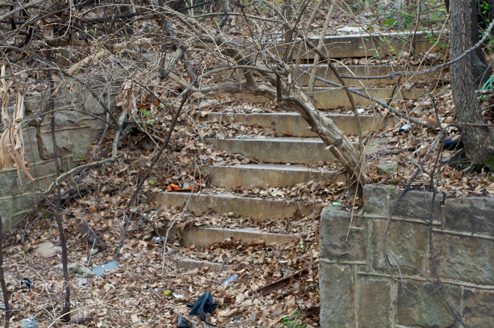 Nikon D5000 sample photo. Stairs to somewhere photography