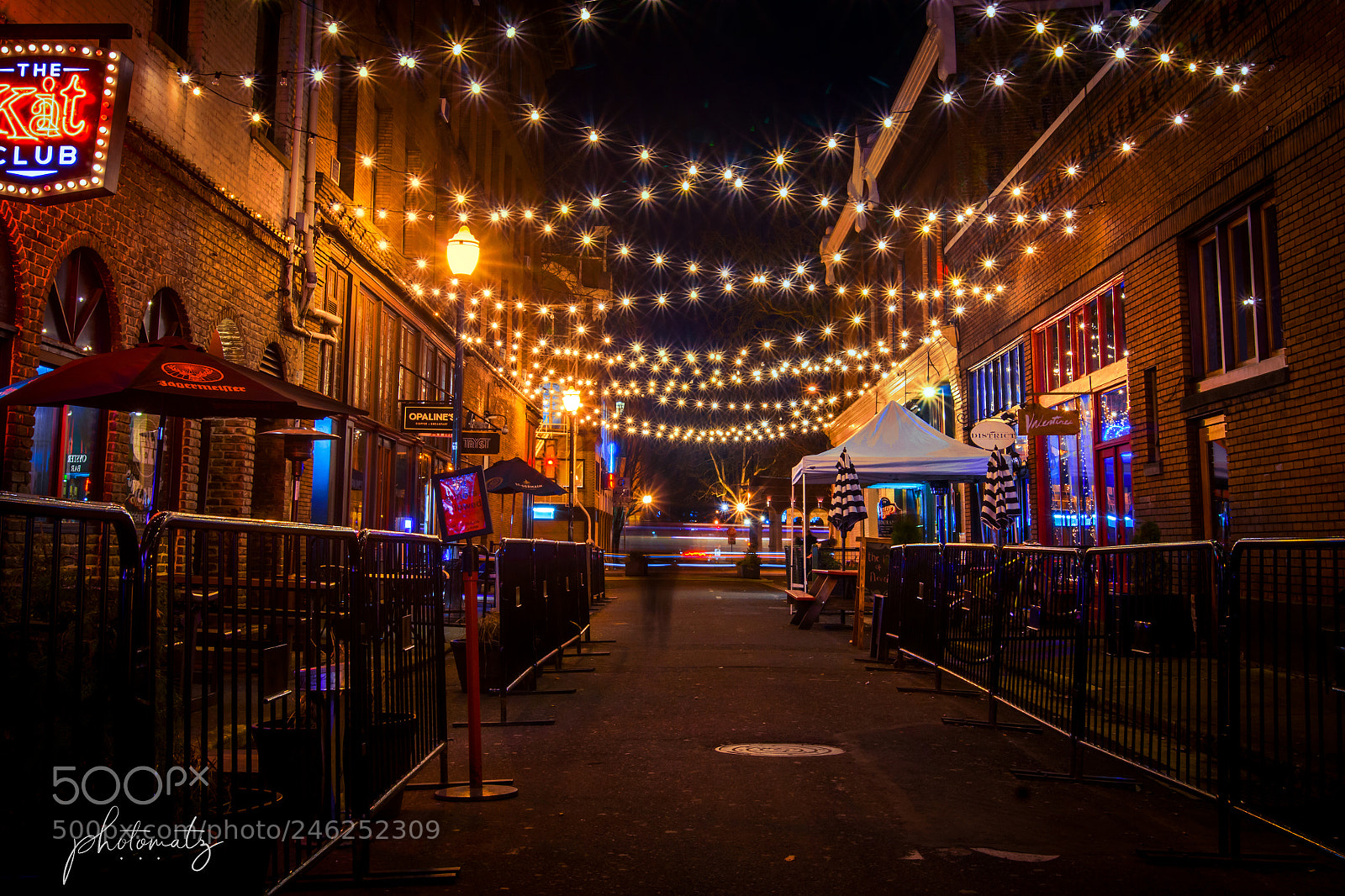 Sony SLT-A77 sample photo. Portland night life photography