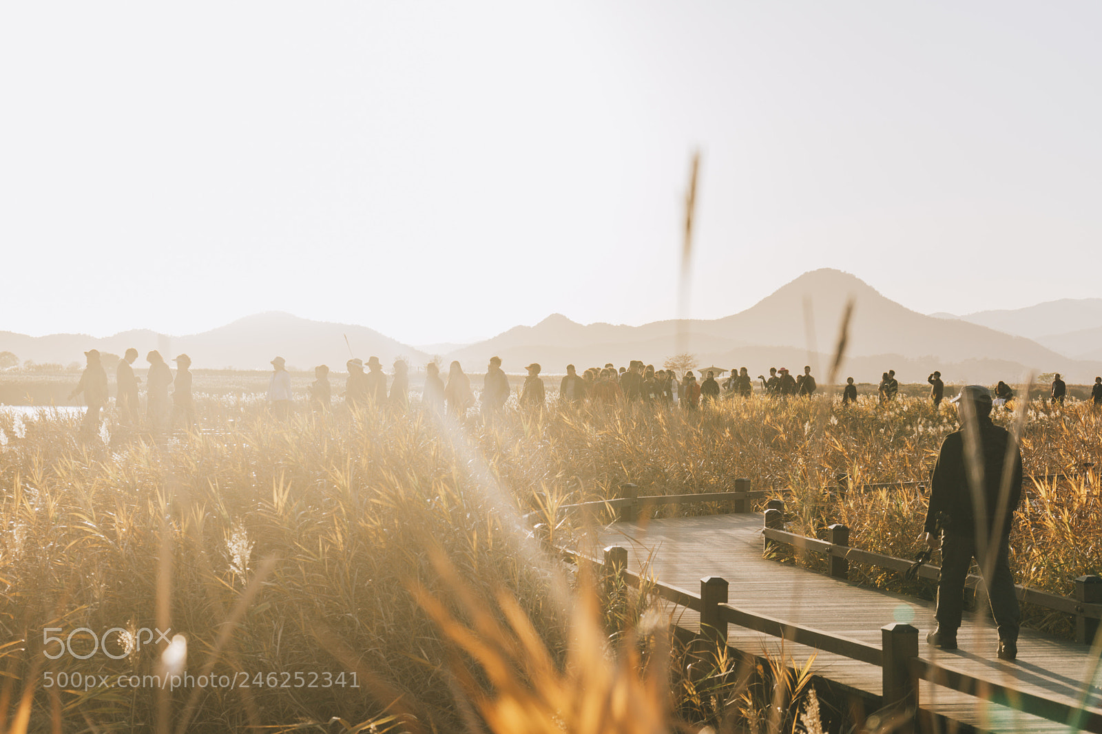 Sony a7 II sample photo. Untitled photography