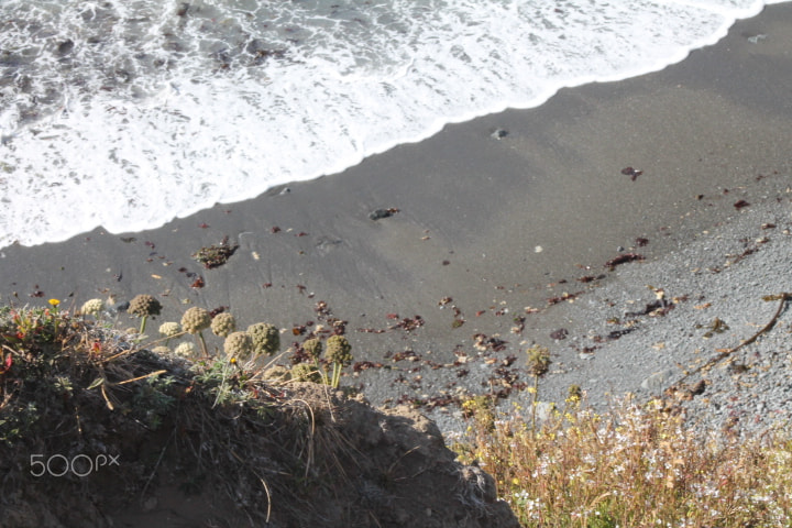 Canon EOS 1100D (EOS Rebel T3 / EOS Kiss X50) + EF75-300mm f/4-5.6 sample photo. Magnificent views of the pacific coast. photography