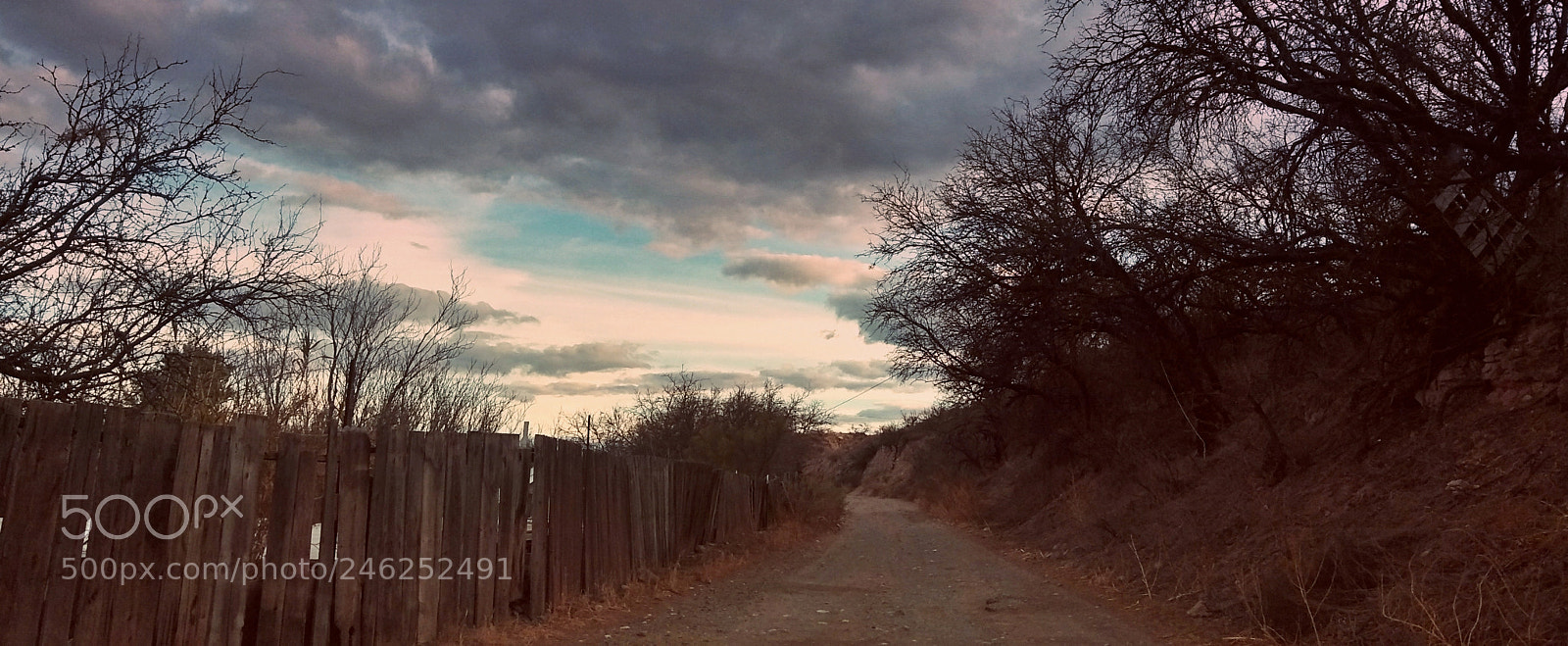 Motorola Moto G (5S) Plus sample photo. 01.04 photography