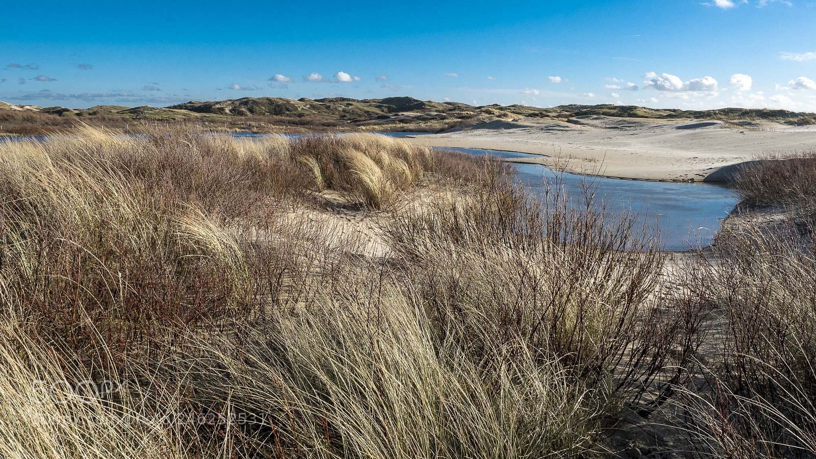 Olympus OM-D E-M5 II sample photo. Dutch dunes photography