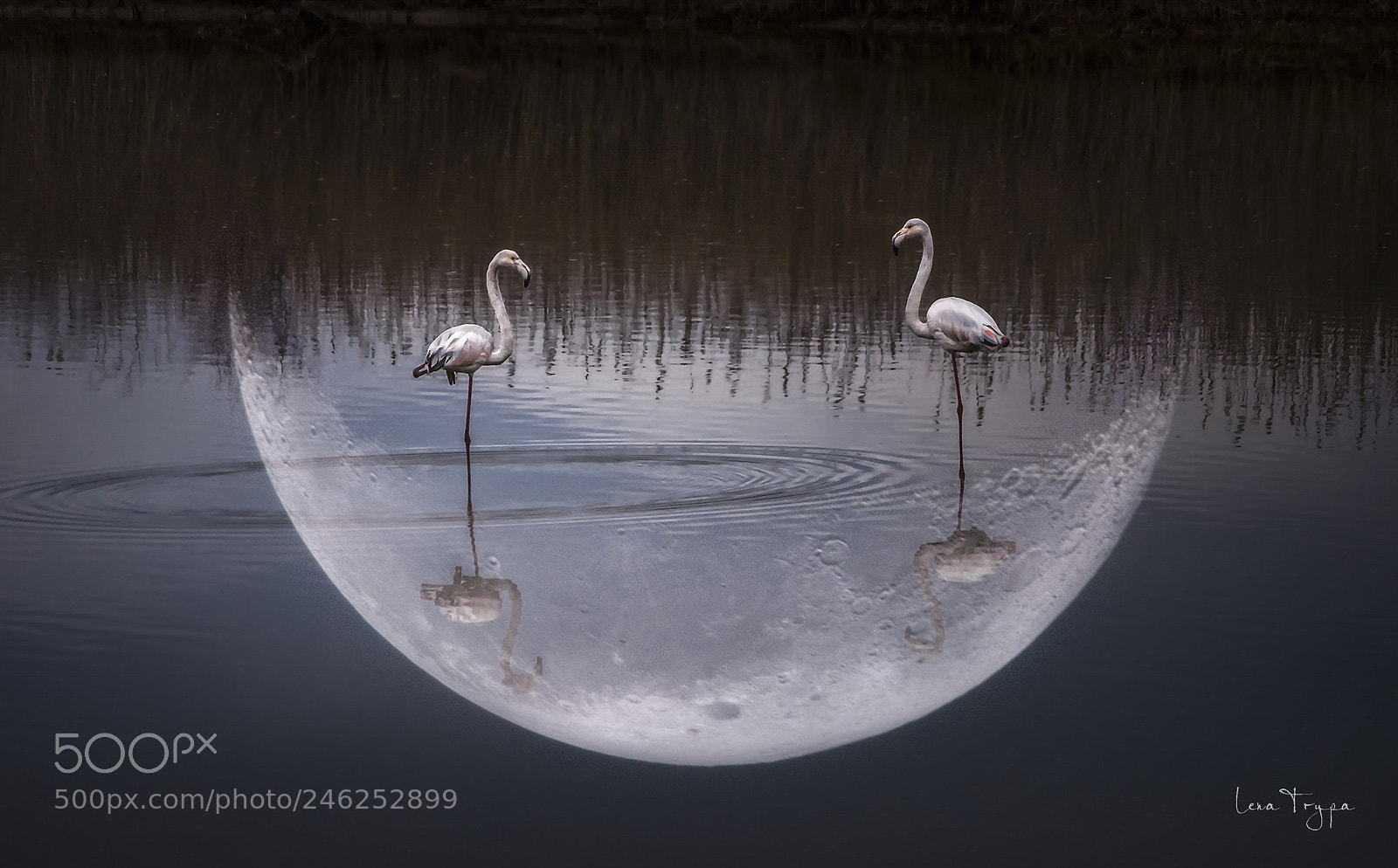 Nikon D5000 sample photo. Moonwalk. photography