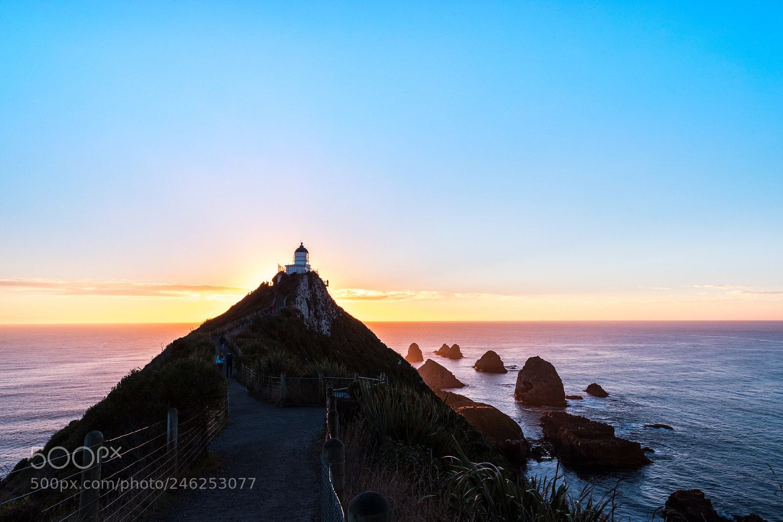Canon EOS-1D X Mark II sample photo. Nugget point photography