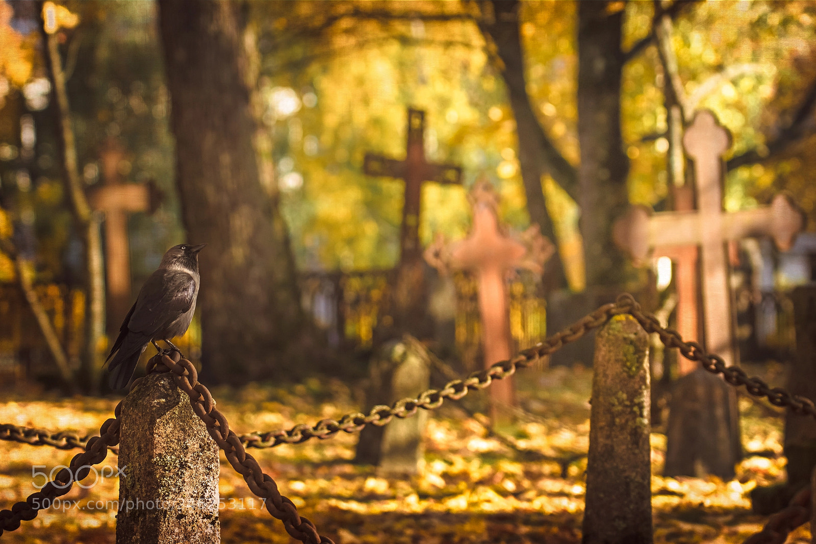 Canon EOS 7D sample photo. Ctb photography