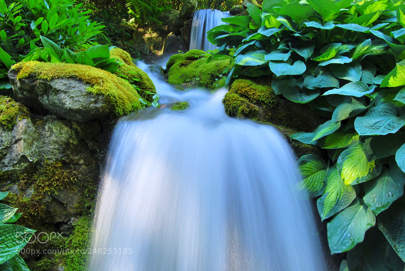 Nikon D60 sample photo. Garden waterfall photography