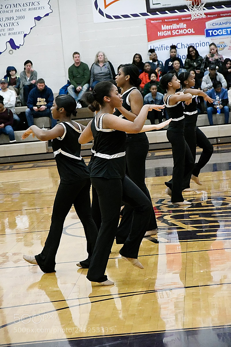 Nikon D500 sample photo. 2-10_1077.jpg photography