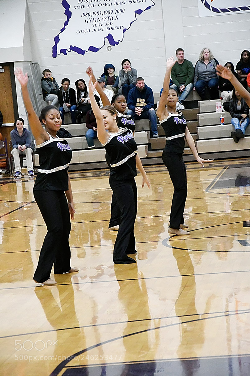 Nikon D500 sample photo. 2-10_1078.jpg photography