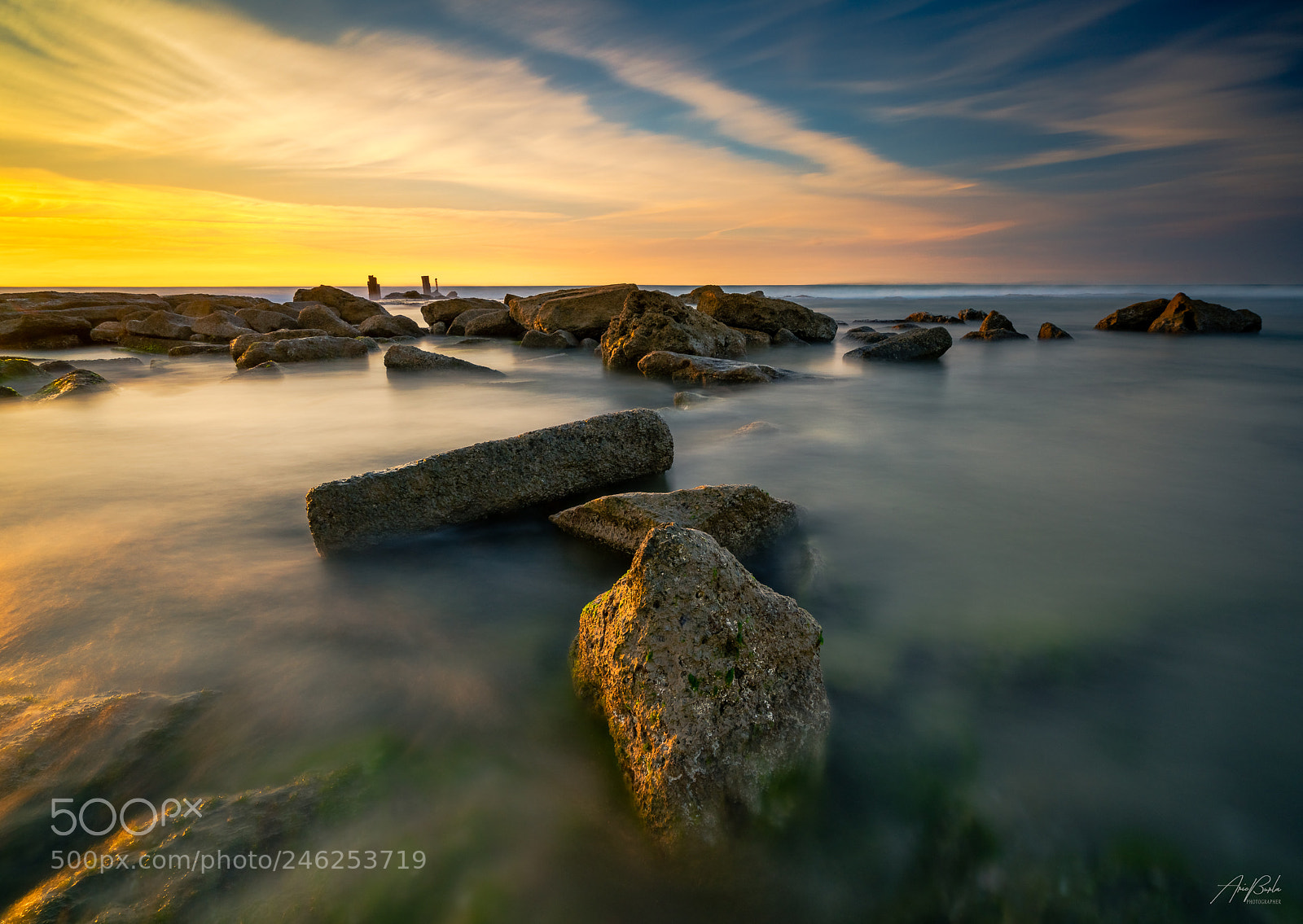 Sony a7R II sample photo. Yellow photography