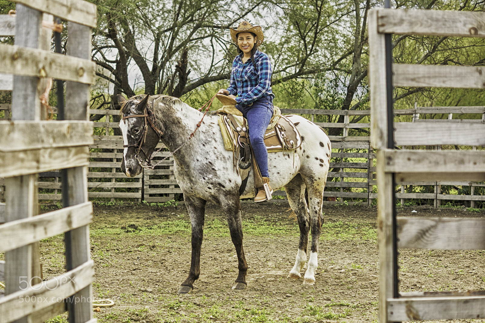 Sony SLT-A65 (SLT-A65V) sample photo. Horse and woman photography