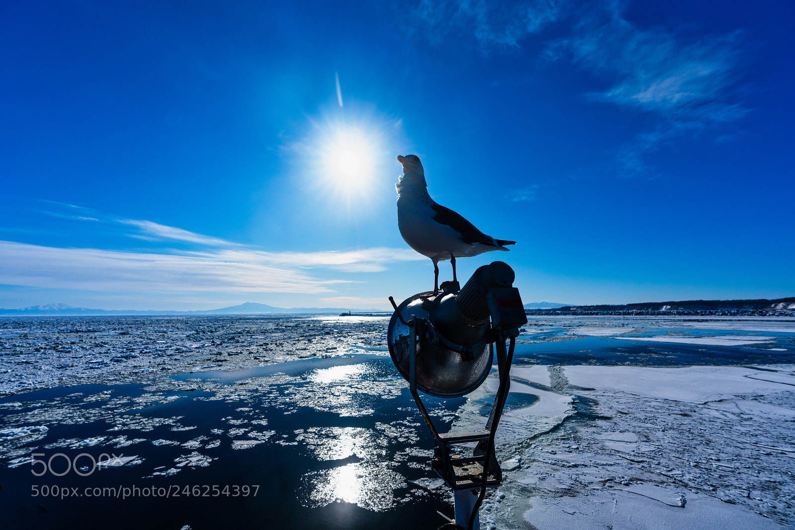 Sony a7R III sample photo. Drift ice in hokkaido photography