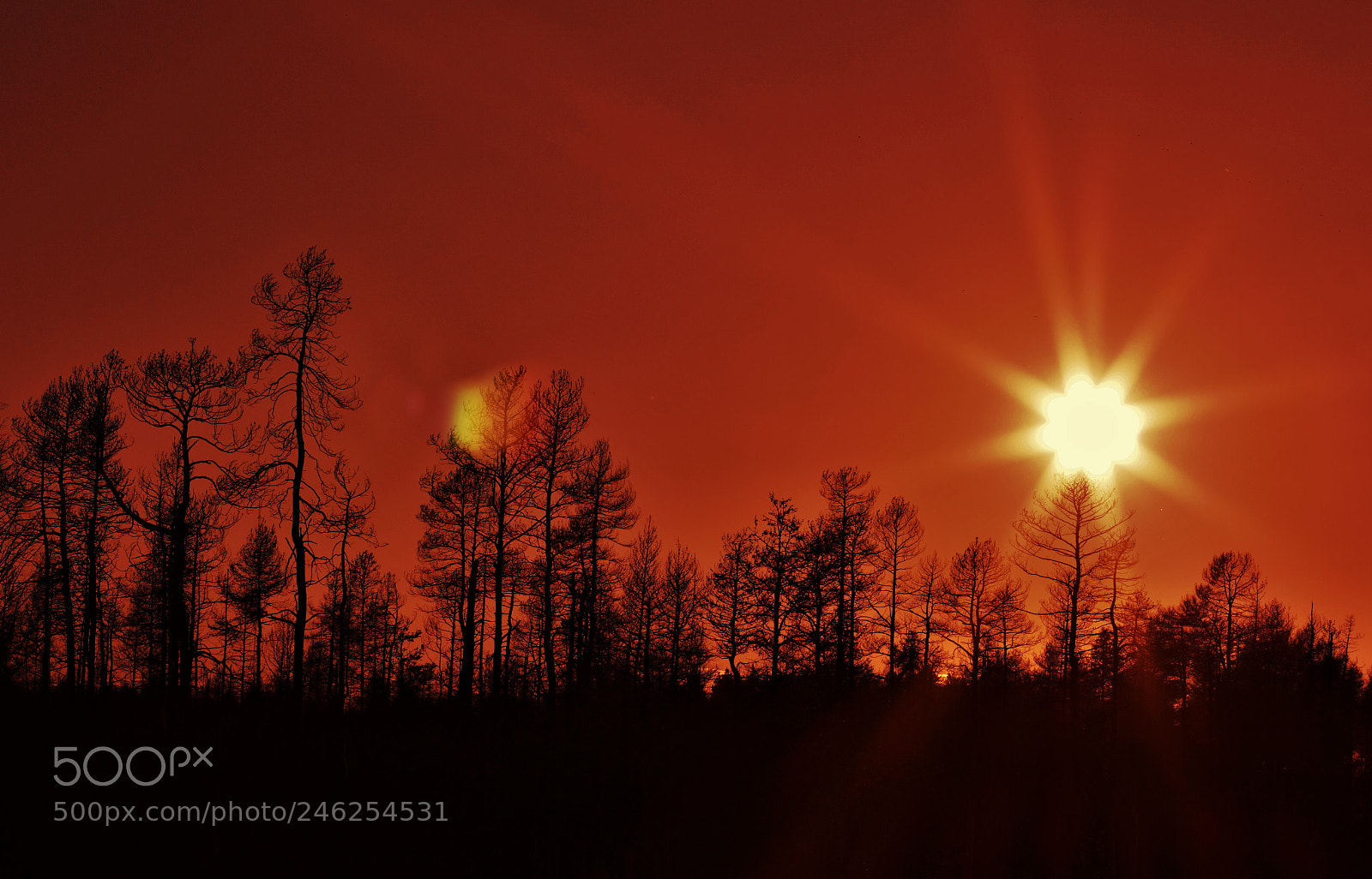 Canon EOS 60D sample photo. Sunset -- 日落 photography
