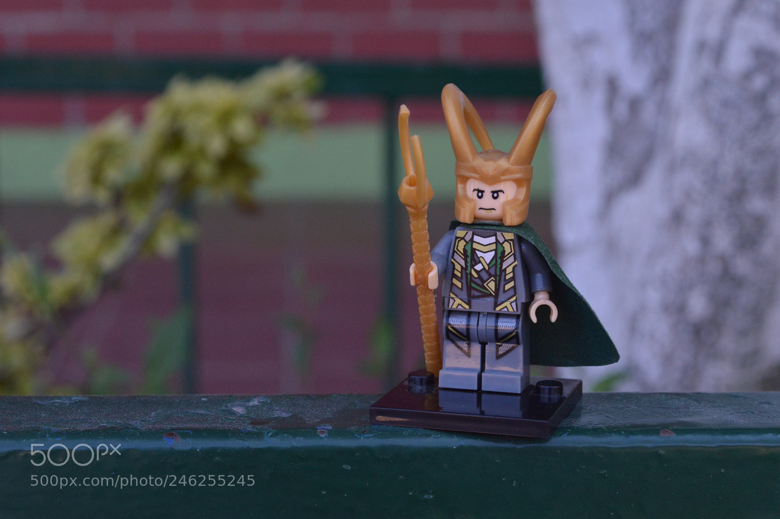 Nikon D3200 sample photo. Loki photography