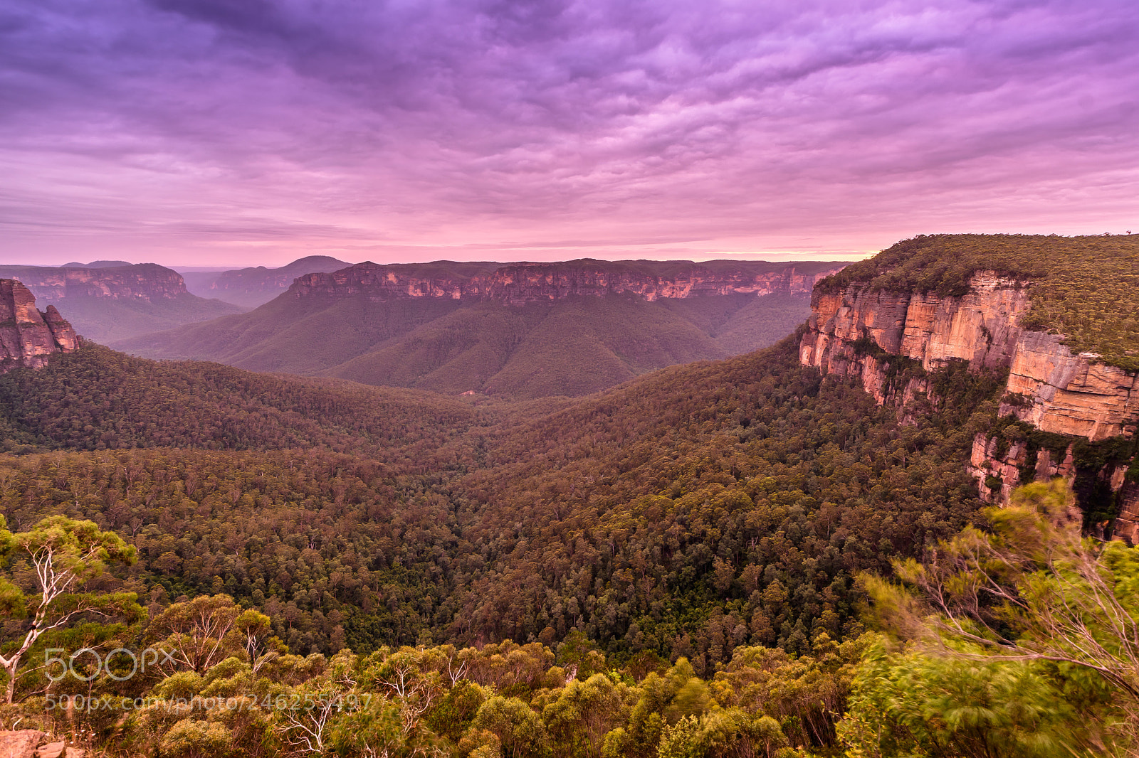 Nikon D7500 sample photo. Govett's leap dawn photography