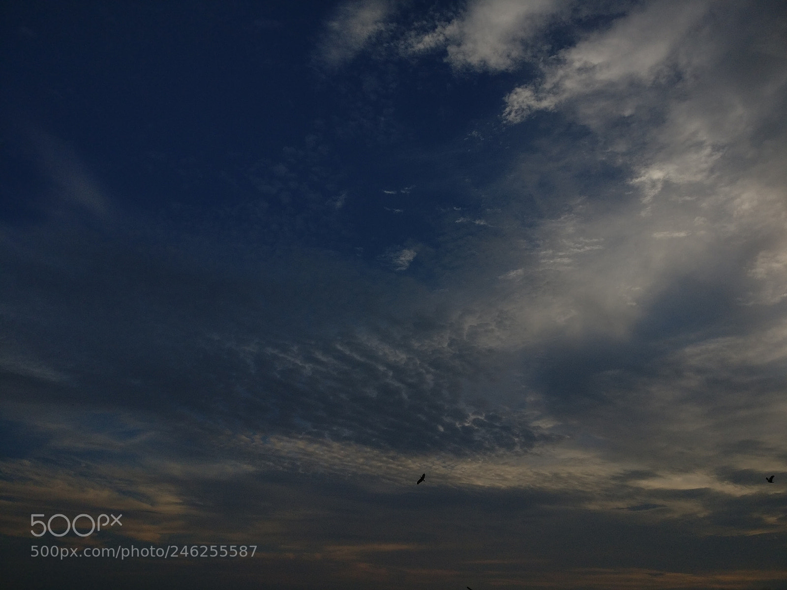 OnePlus A3003 sample photo. "dusk" photography