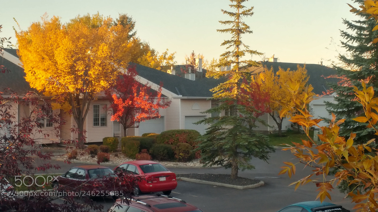 LG G5 sample photo. A nice morning in photography