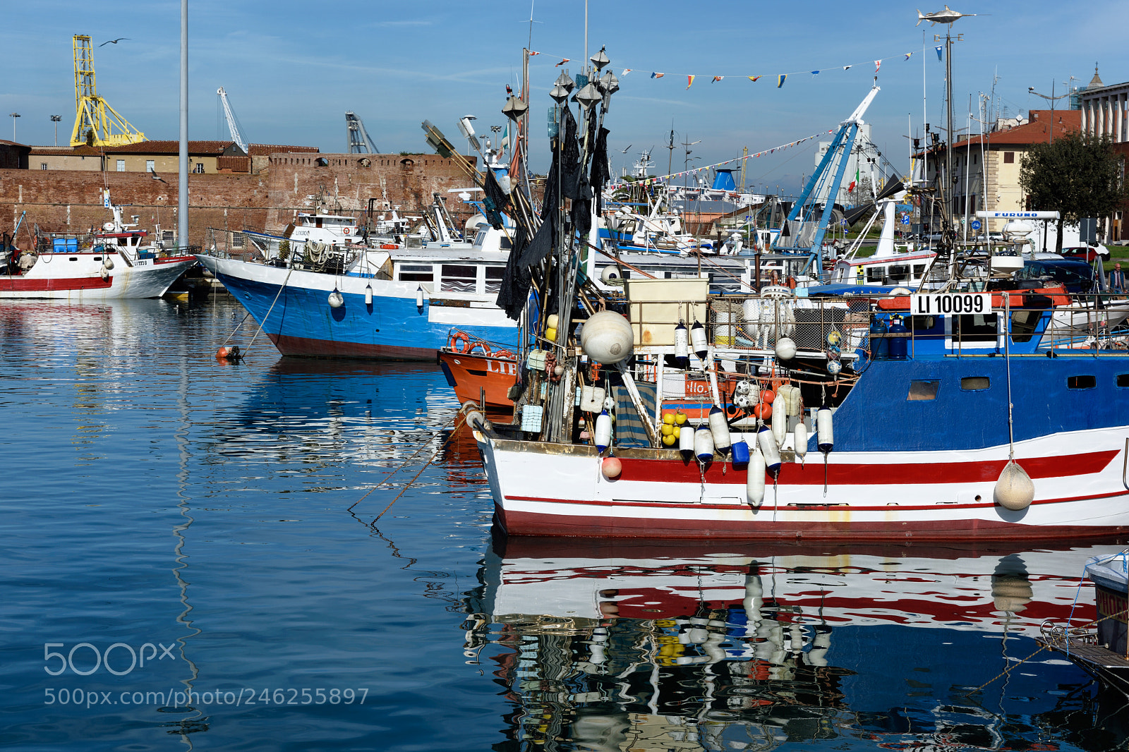 Nikon D810 sample photo. In sky and earth photography