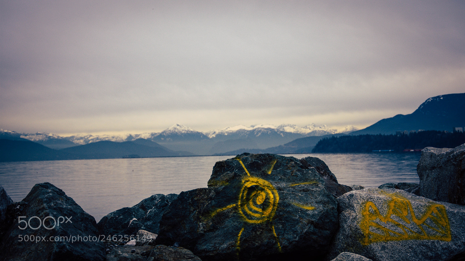 Nikon D7200 sample photo. Yellow photography