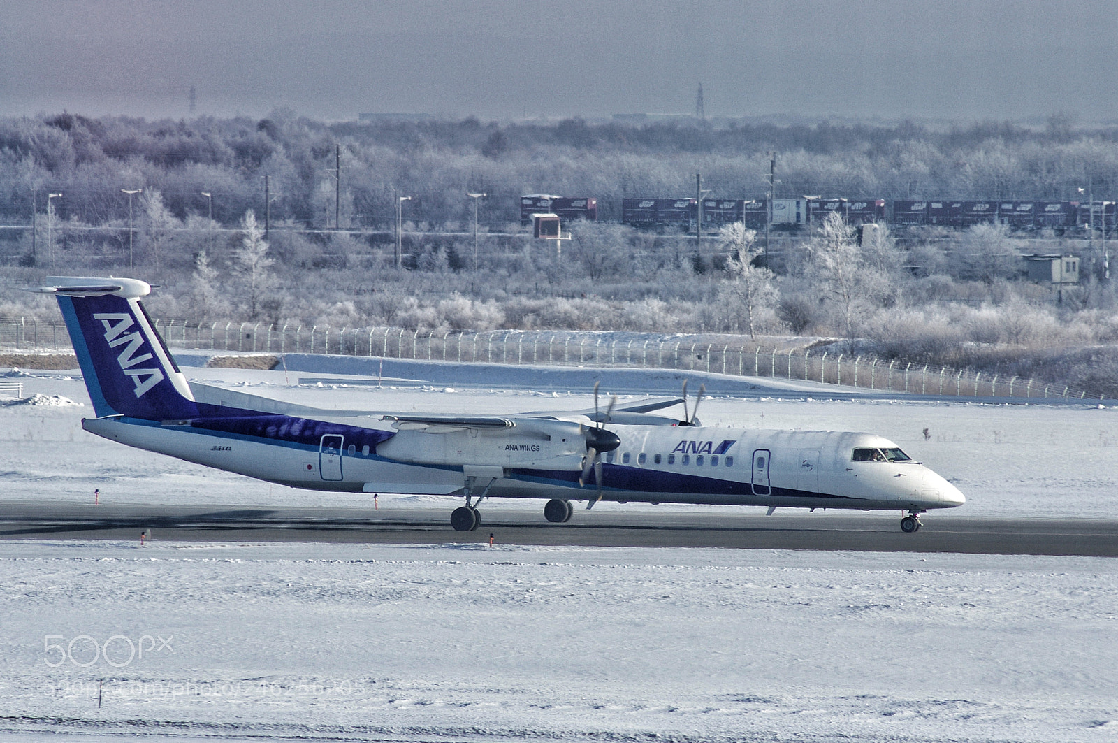 Pentax K-x sample photo. Frozen photography