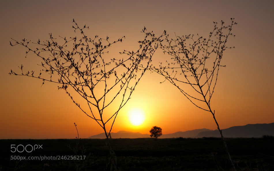Samsung NX30 sample photo. ... photography