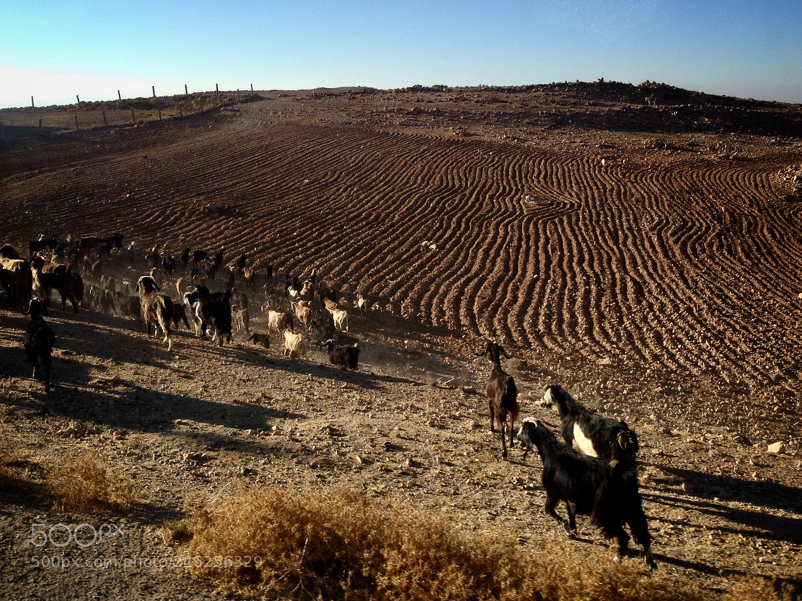 Apple iPhone 5 sample photo. Somewhere in jordan ... photography
