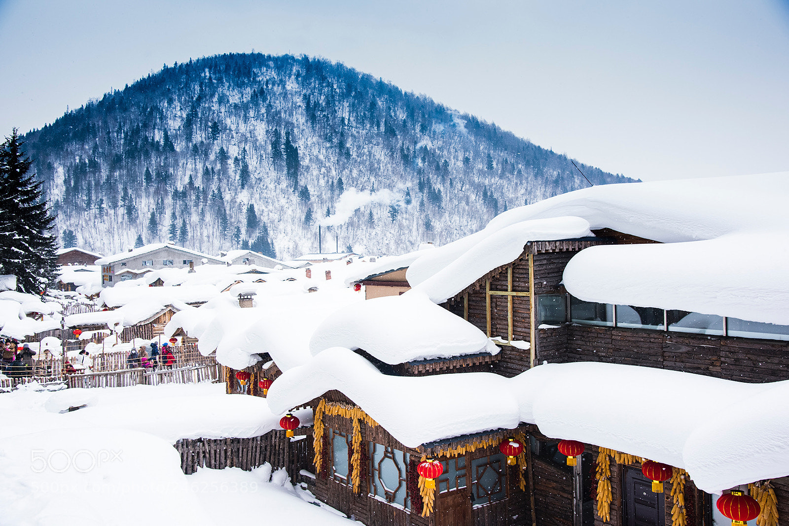 Nikon D810 sample photo. 雪鄕 photography