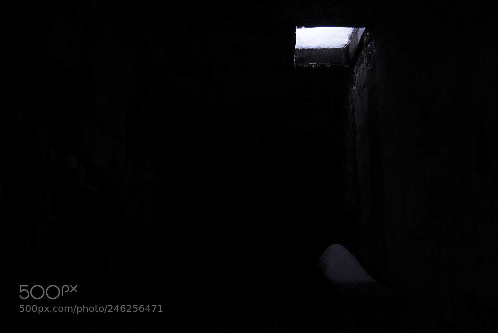 Nikon D3000 sample photo. Downward photography