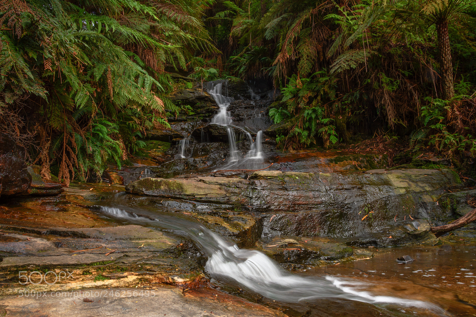 Nikon D7500 sample photo. Upper leura cascades 1 photography