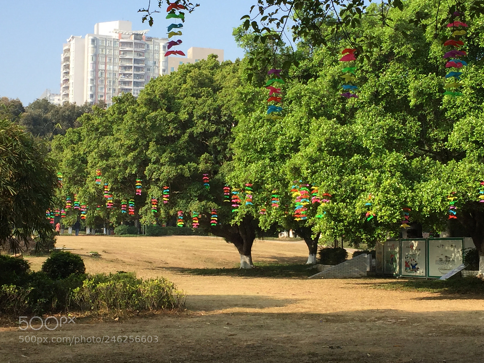 Apple iPhone 6 sample photo. Chinese new year day photography