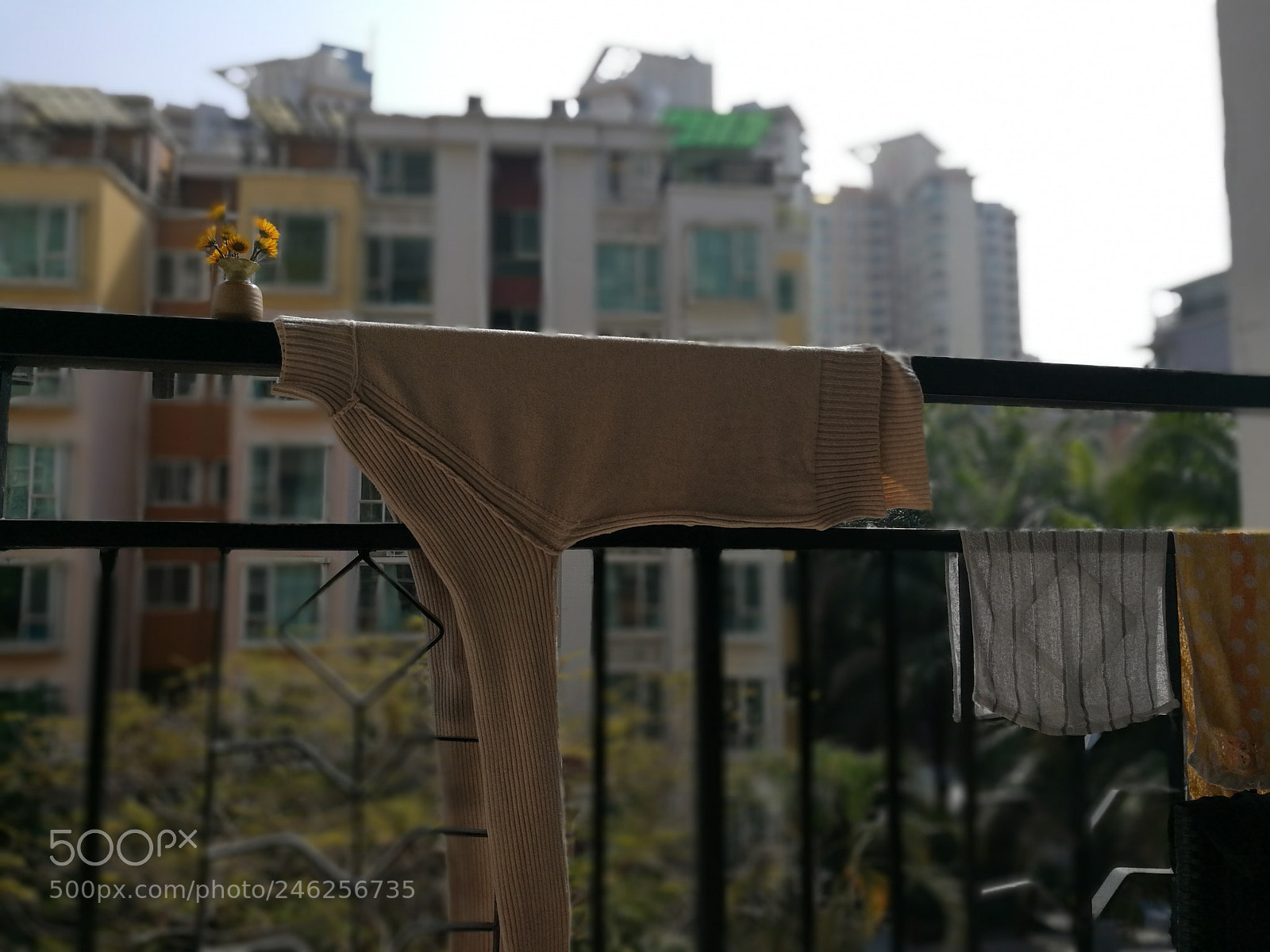 HUAWEI Honor 8 sample photo. Untitled photography