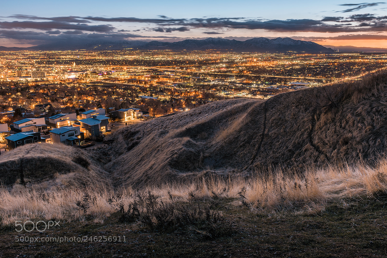 Nikon D850 sample photo. City of light for photography