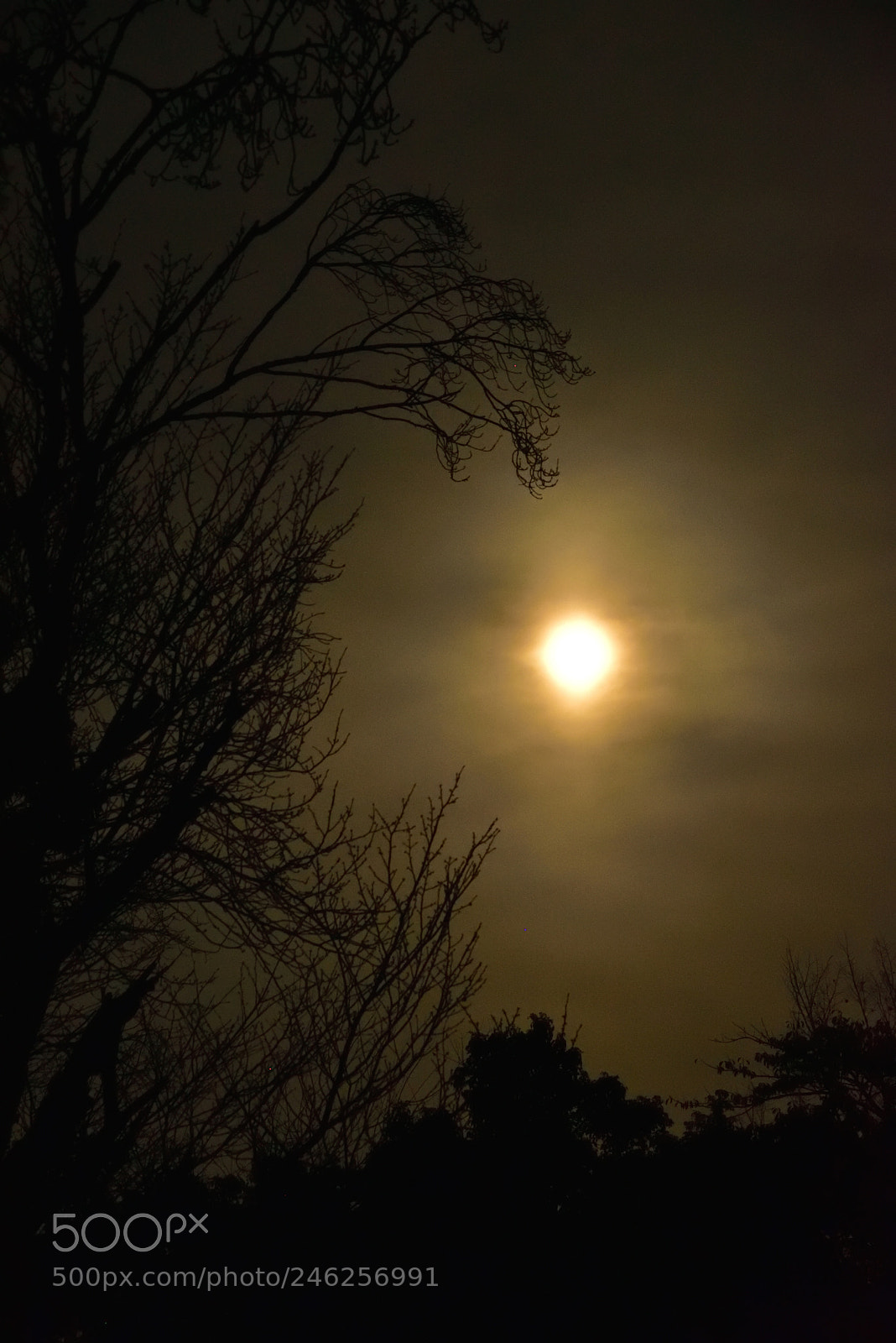Nikon AF-S Nikkor 24-120mm F4G ED VR sample photo. Fogged moon photography