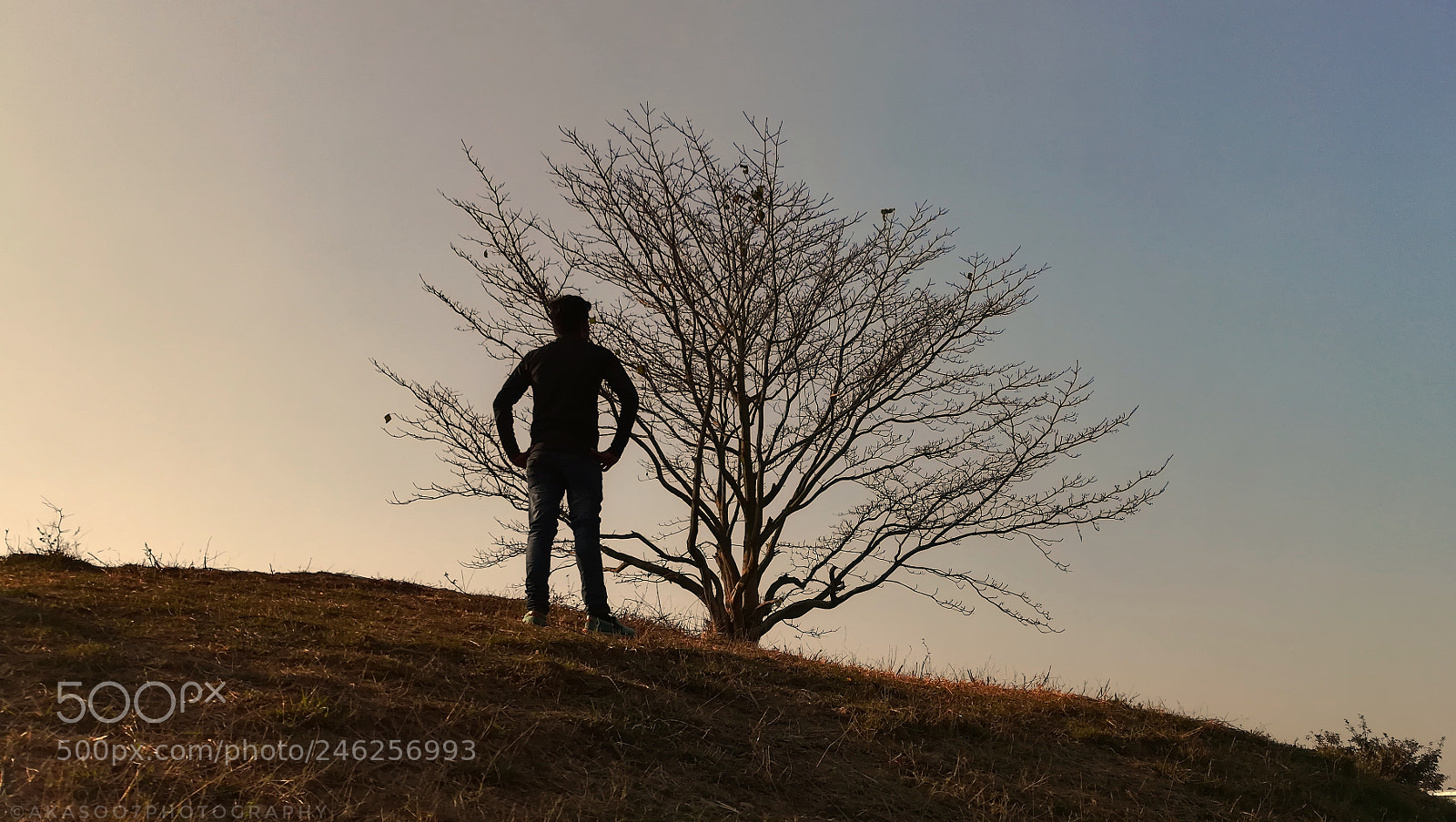 HUAWEI honor 6x sample photo. Single boy and a photography