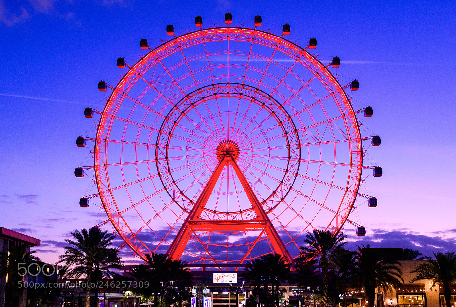 Nikon Df sample photo. The orlando eye photography