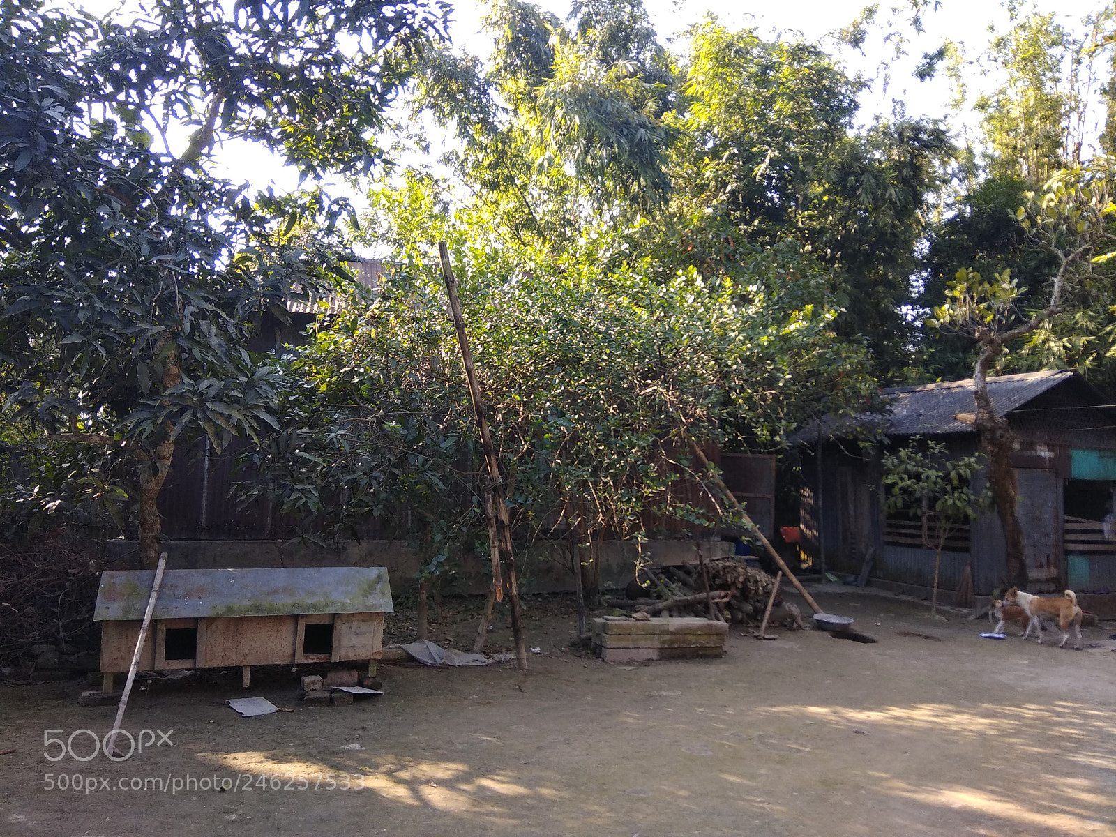 Xiaomi Redmi Note 4 sample photo. Untitled photography