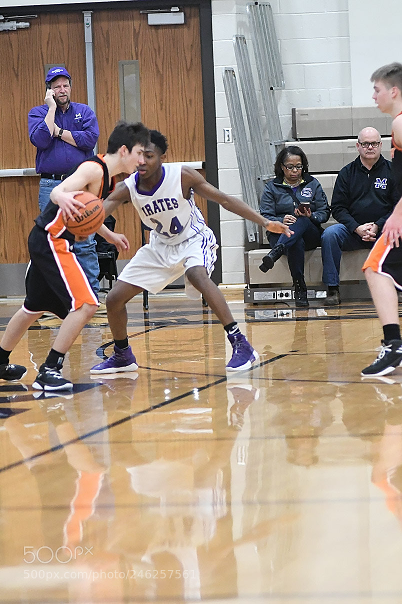 Nikon D500 sample photo. 2-10_0390.jpg photography