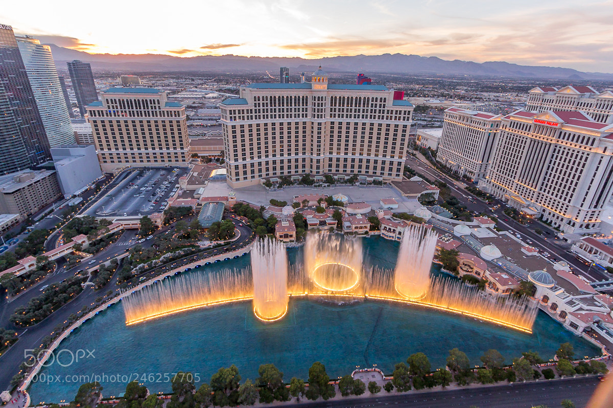 Canon EOS 700D (EOS Rebel T5i / EOS Kiss X7i) sample photo. Bellagio hotel & casino photography