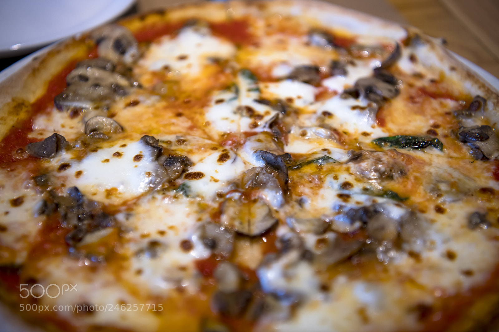 Nikon D850 sample photo. & i devoured it all photography