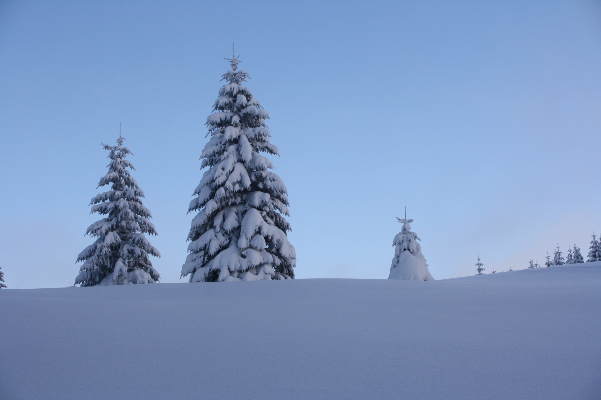 Canon EOS 1000D (EOS Digital Rebel XS / EOS Kiss F) + Sigma 18-50mm f/3.5-5.6 DC sample photo. Winter in tatry photography