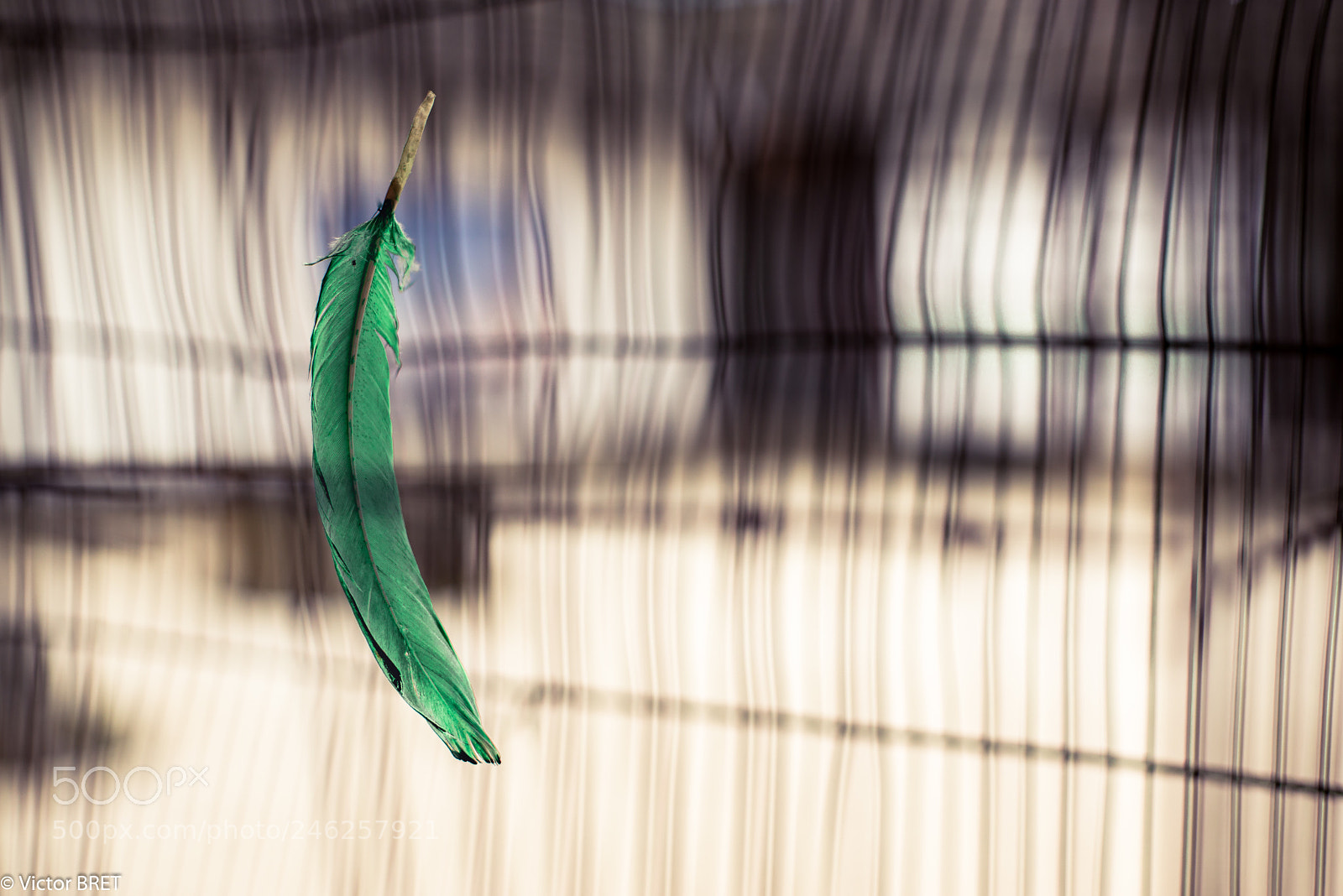 Nikon D610 sample photo. Légèreté photography